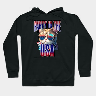 Cool Cat Party in the USA Independence Day Hoodie